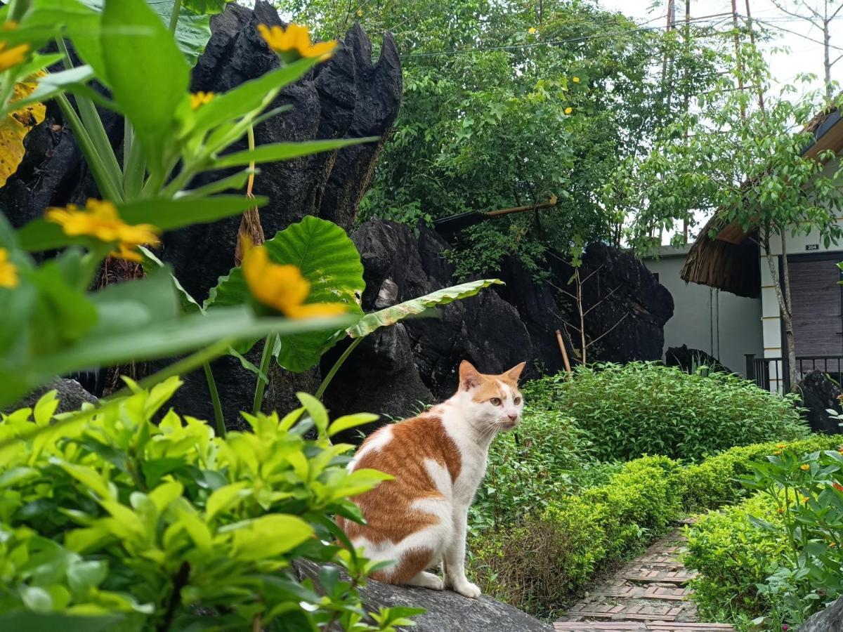 Wings Ha Giang Loop Bungalow Εξωτερικό φωτογραφία